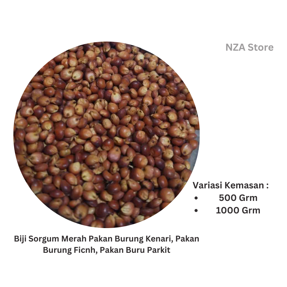 

Biji Sorgum Merah - Pakan Burung Lovebird - Berat 500/1000 Grm