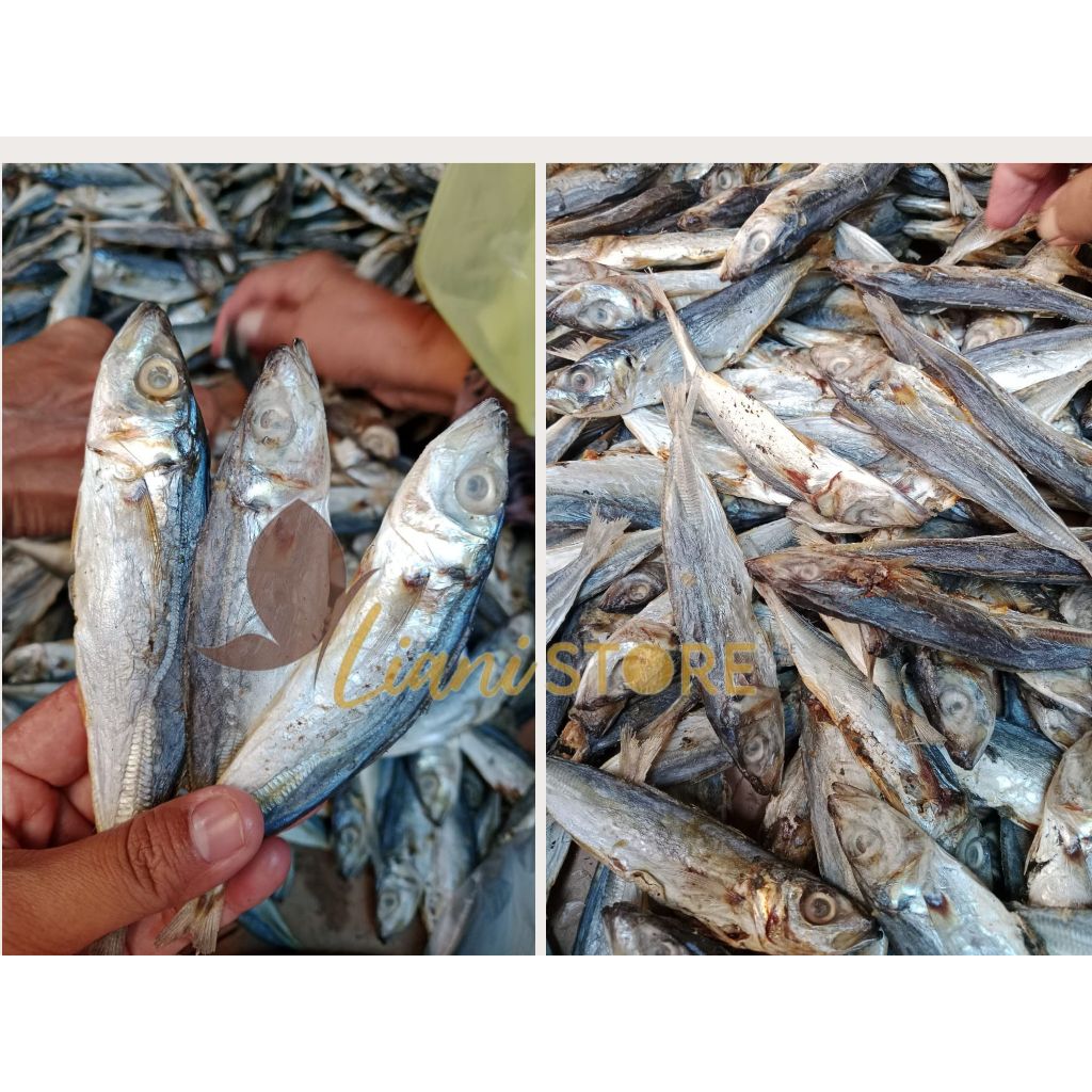 

Ikan Asin/Klotok /layang kwalitas super