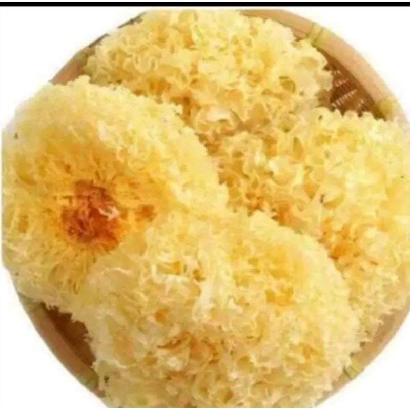 

Jamur Putih / Jamur Salju / Snow White Fungus 500gr