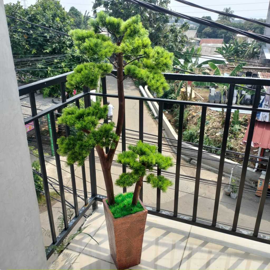 Pohon Bonsai Cemara Udang/Bonsai Cemara Udang Artificial/ Pohon Bonsai Tinggi 1,5 m