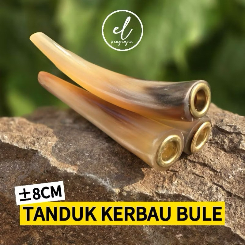 COD PIPA ONCE ORIGINAL TANDUK KERBAU BULE 8cm