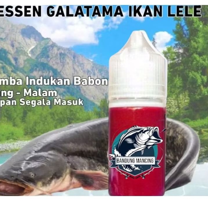 Essen Khusus Ikan Lele Media Alam Dan Olahan Essen Khusus Ikan Lele Paling Gacor Essen Ikan Lele Ter