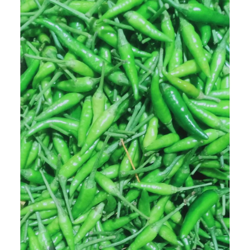 

cabe rawit ijo caplak 500g