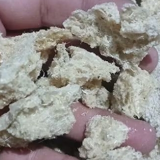 Sarang walet kotor 1gram