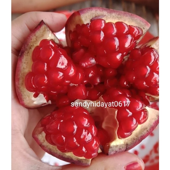 

LIMITLESS Buah delima merah spanyol ukuran sedang per buah 1517 gram