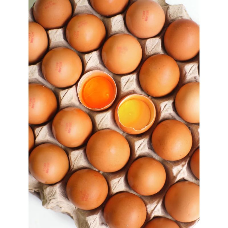 

Telur ayam Omega 3 fresh Grade A Quality (30 butir)