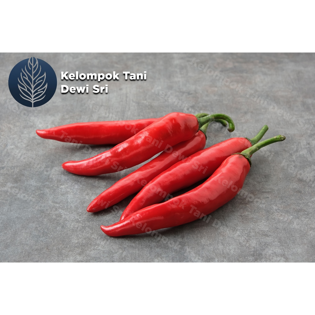 

Cabe/Lombok/Cabai Besar Merah Segar