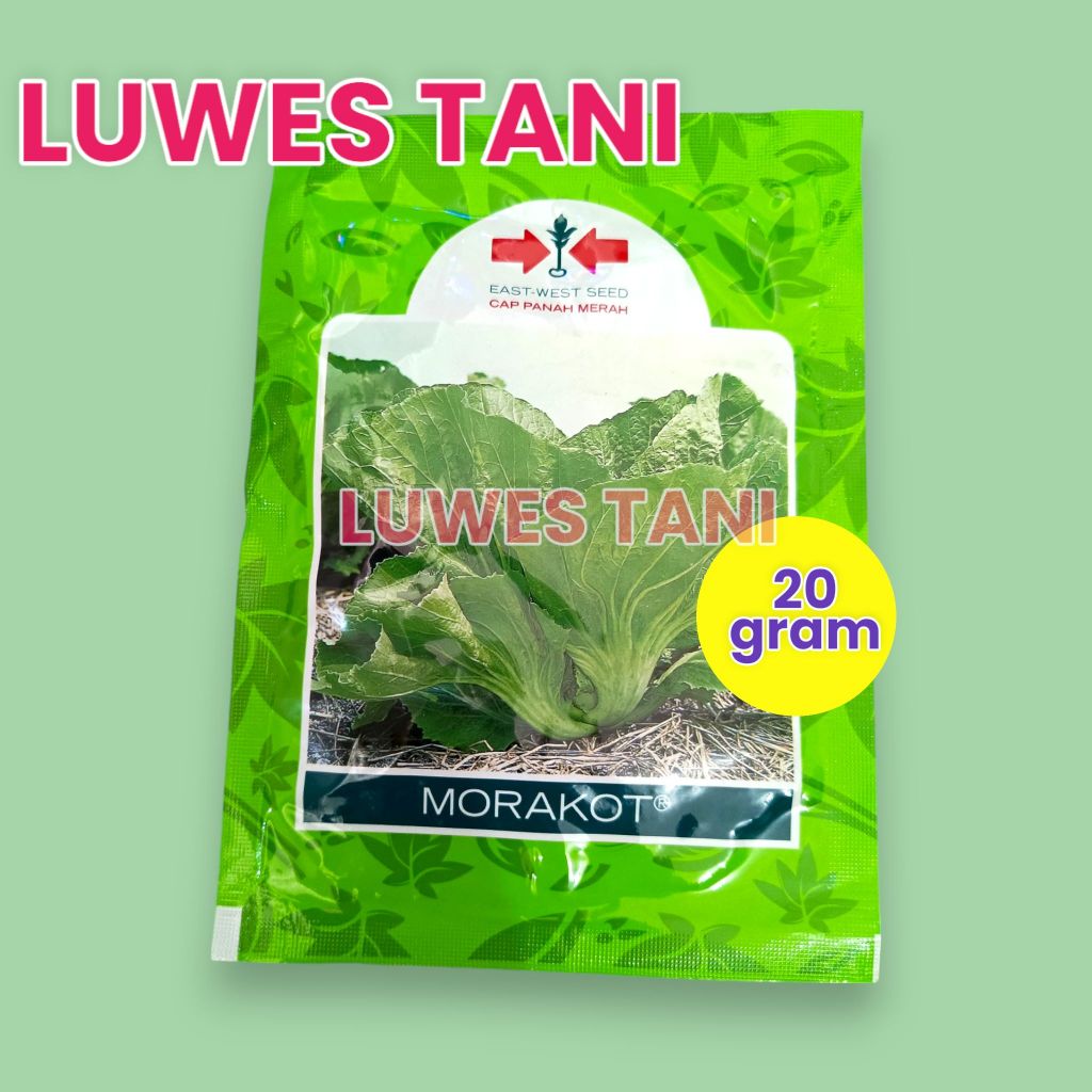 

Benih Sawi Pahit MORAKOT 20gr sachet