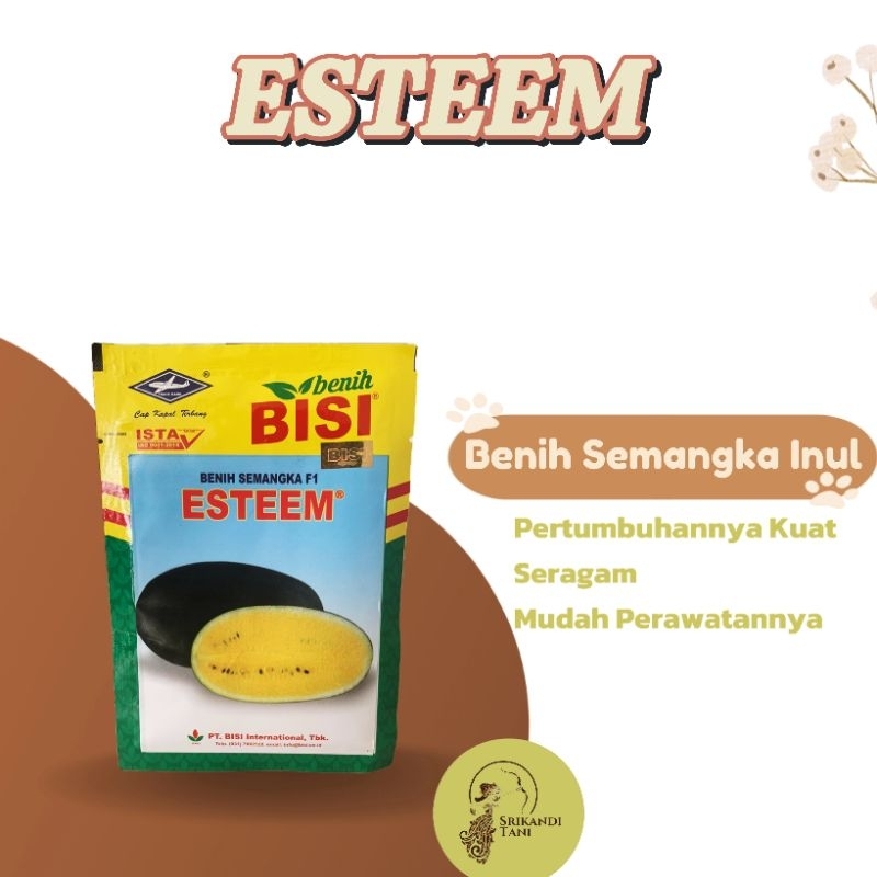 Semangka Esteem 20gr Original Pabrik Semangka Inul Kuning