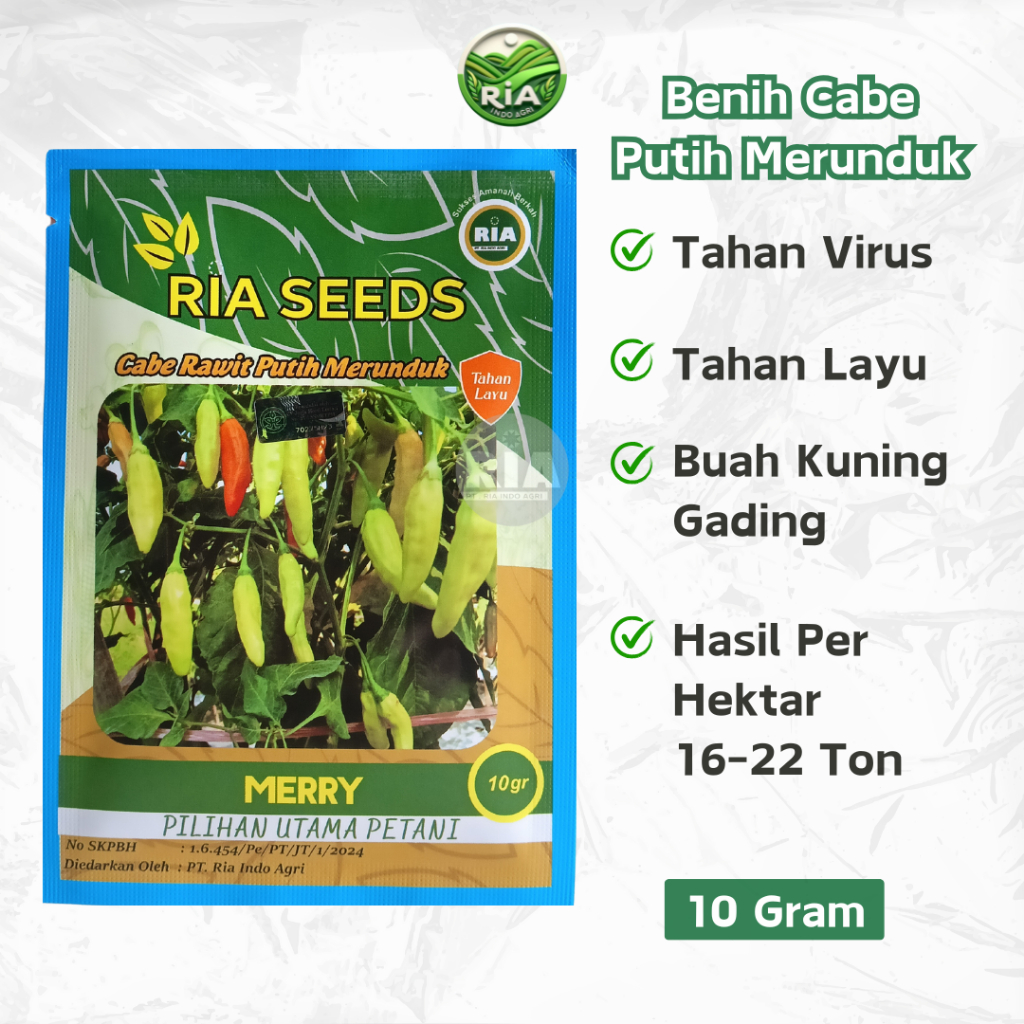 Benih Cabe Rawit Putih Merunduk Merry 10 Gram Asli Ria Seeds