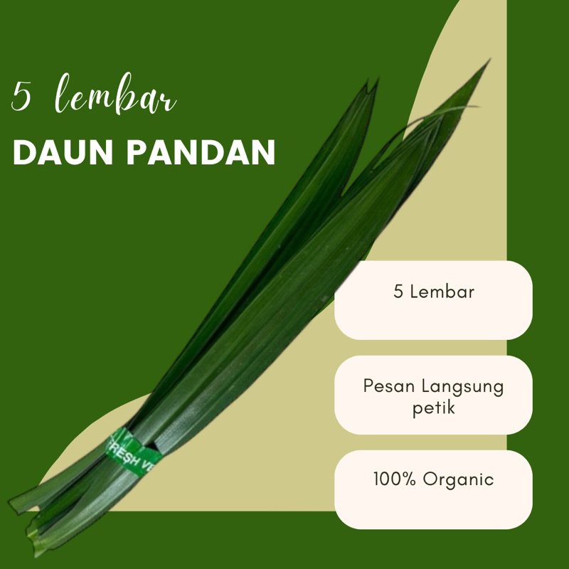 

5 Lembar Daun Pandan Wangi