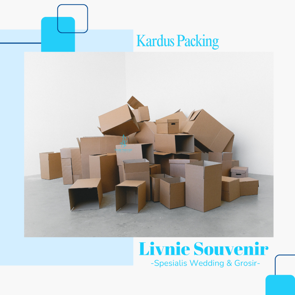 

Dus Kardus tambahan keamanan extra packing souvenir