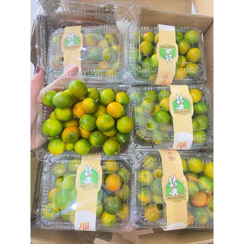 

jeruk kimkit bisa dimakan sama kulit / pack