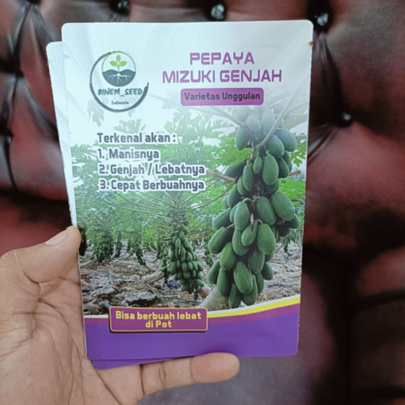 

pepaya genjah mizuki