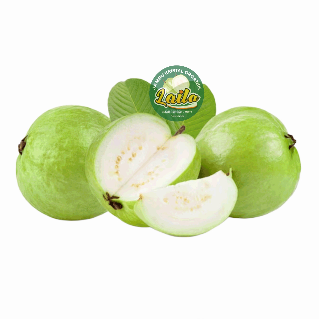 

Jambu Kristal KEBUMEN 1kg