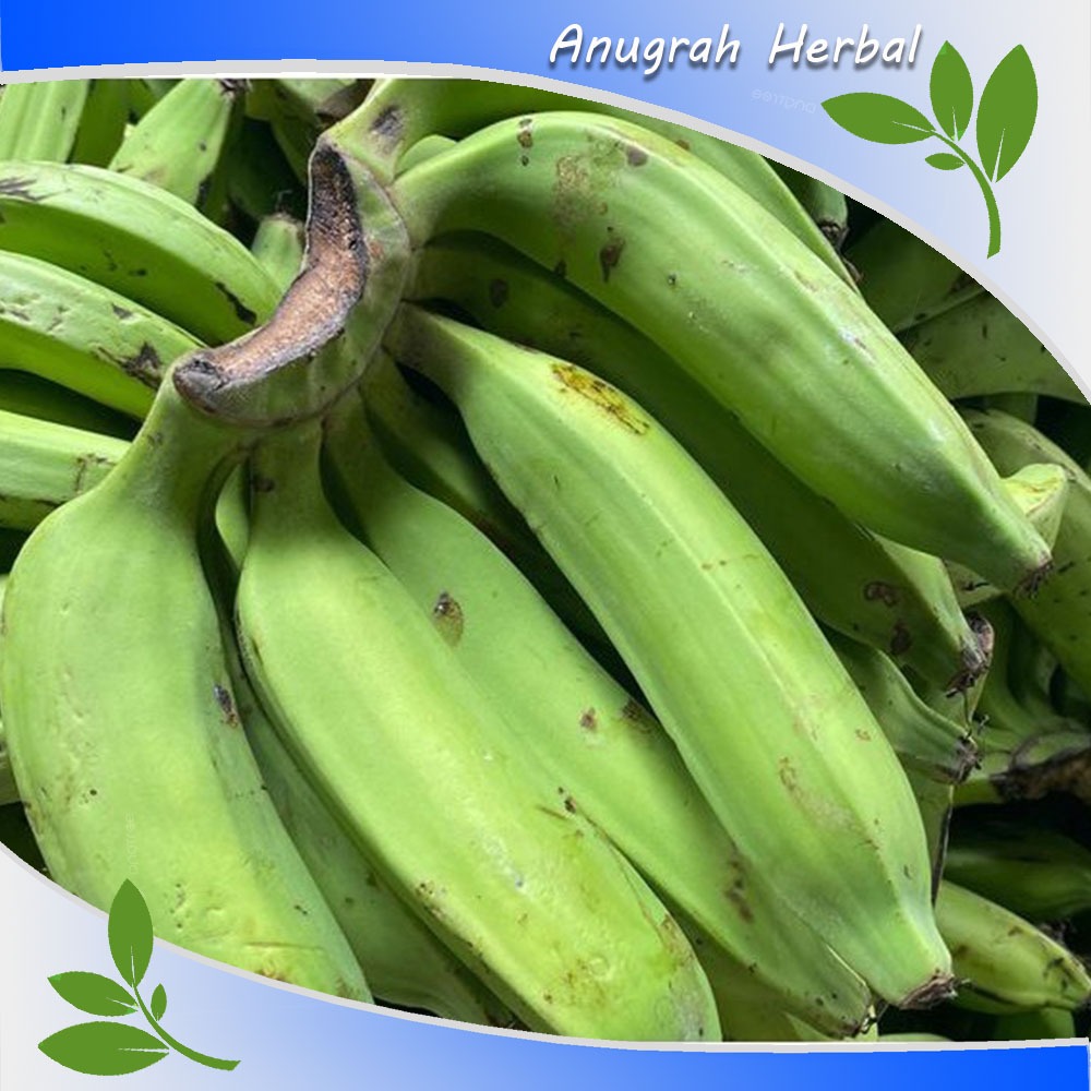 

pisang nangka super 1 kg