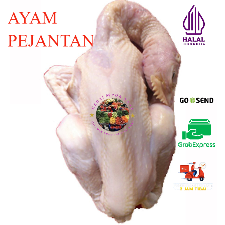 

AYAM PEJANTAN FRESH
