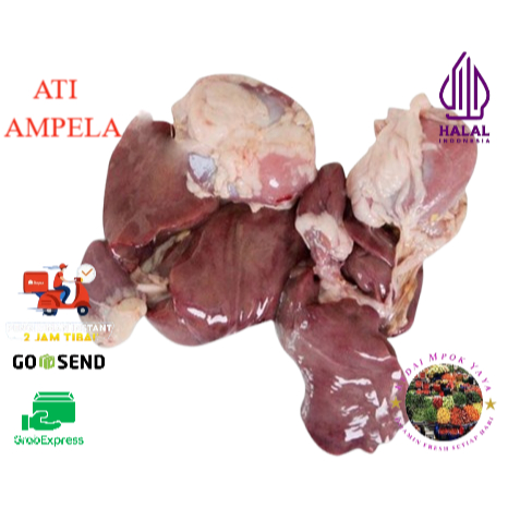 

ATI AMPELA 1 PASANG FRESH