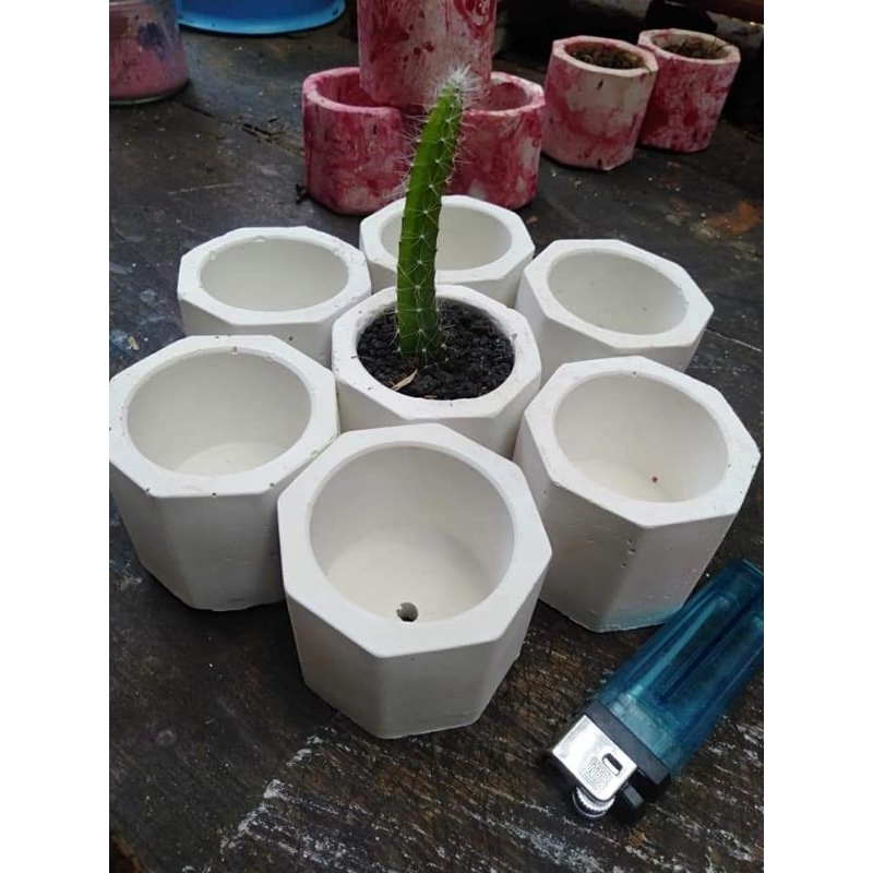 Pot mini sukulen putih semen