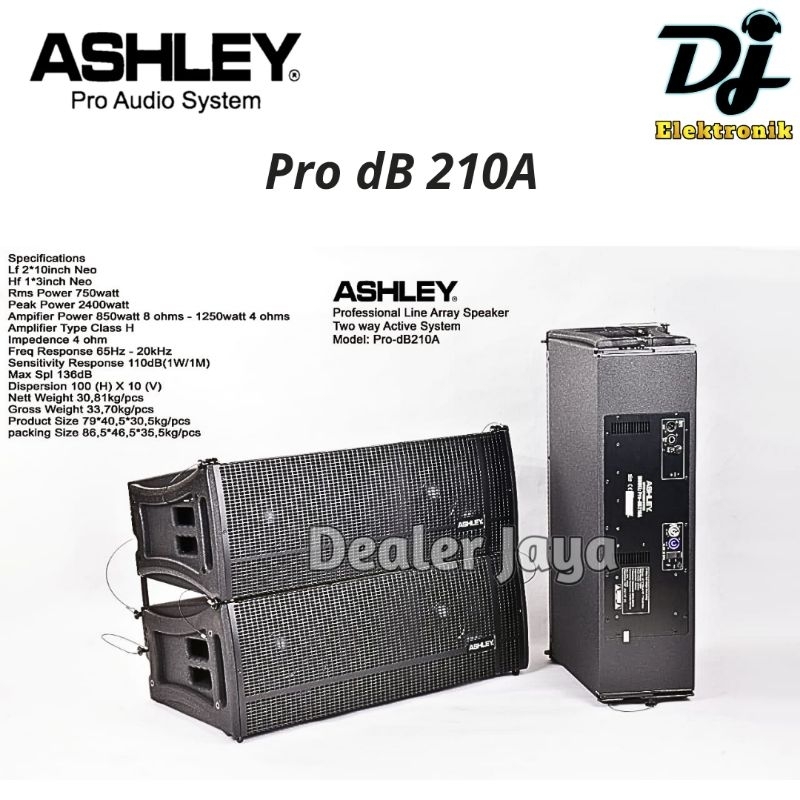 Speaker Line Array Ashley PRO DB 210 / PRO DB210 - 10 inch Pasif