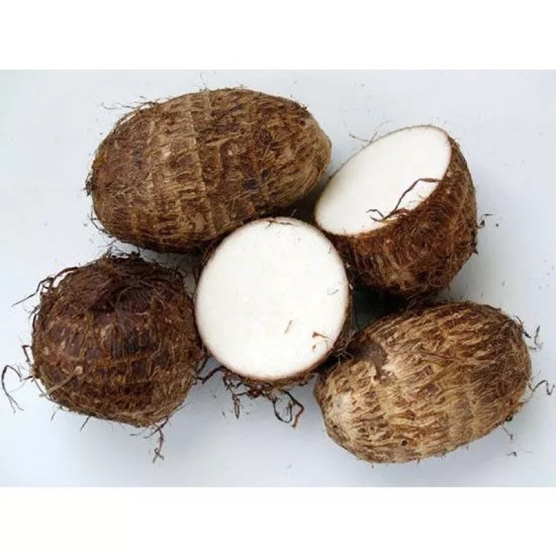 

Umbi Talas Pulen 500 gram