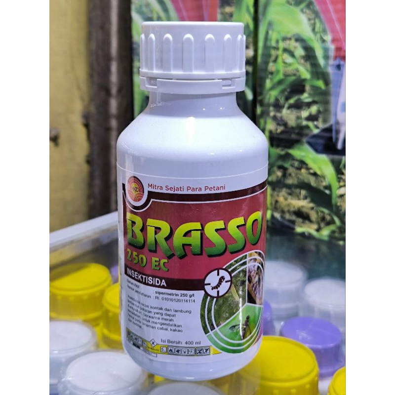 Insektisida Brasso 250Ec