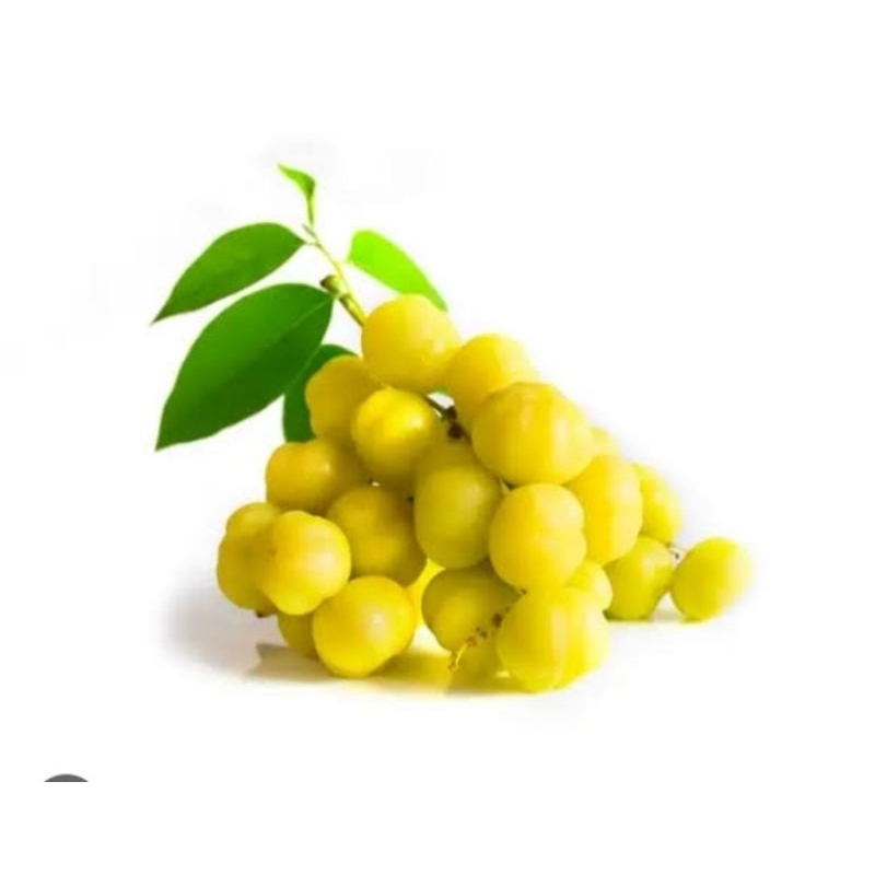 

300GRM BUAH CEREMAI SEGAR FRESS 100%ORIGINAL KAMI PETIK KETIKA ORDERAN MASUK