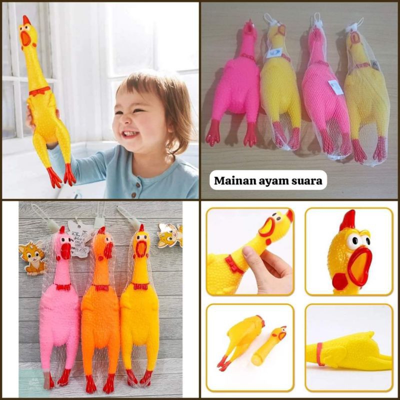 MAINAN SUARA AYAM KOKOK
