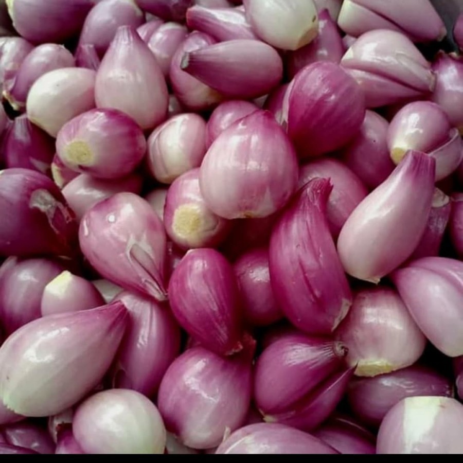 

Bawang Merah KUPAS Peeled Shallots 500 gr