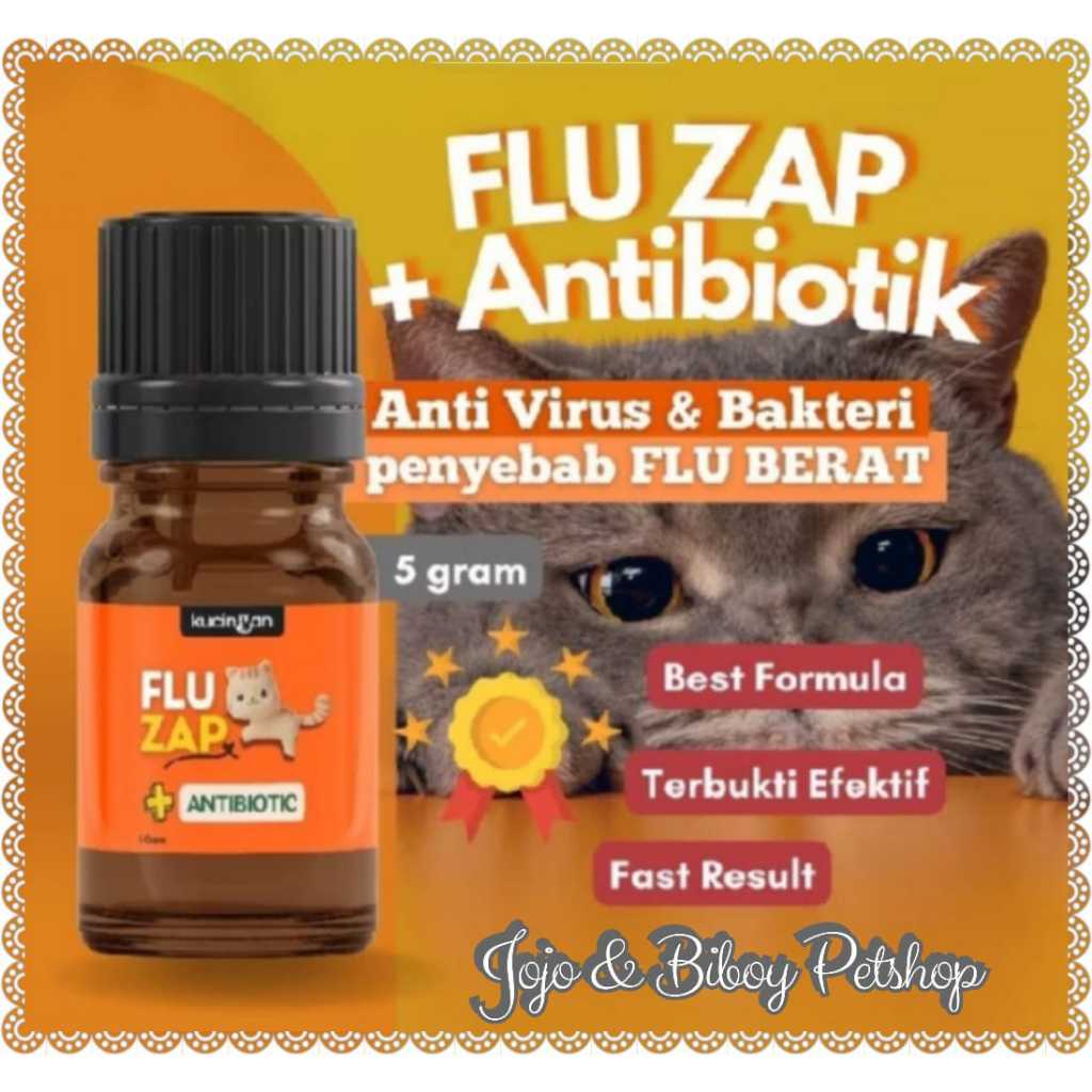 Obat Flu Berat Antibiotik Kucing - Flu Menahun - Batuk - Pilek