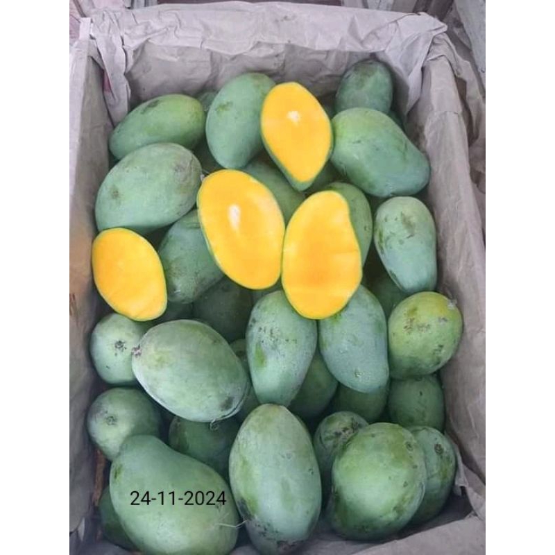 

BUAH MANGGA HARUMANIS ASLI INDRAMAYU 1KG