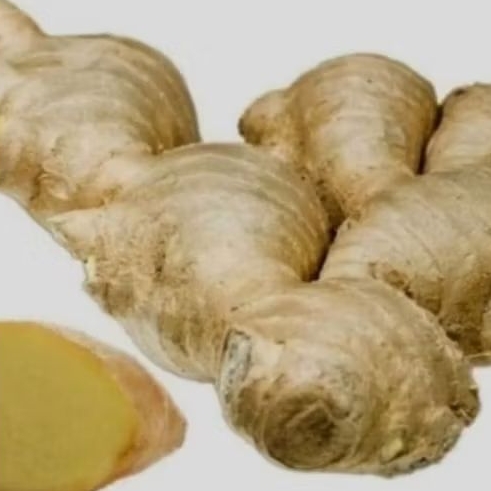 

Lempuyang Segar / Zingiber zerumbet 500gr 1000gr