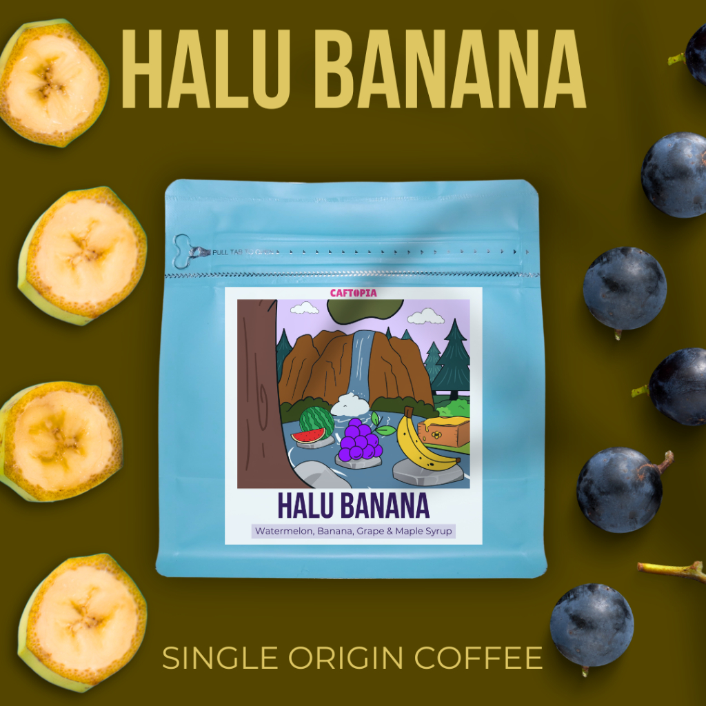 

CAFTOPIA Kopi Arabika HALU BANANA Specialty Coffee Beans
