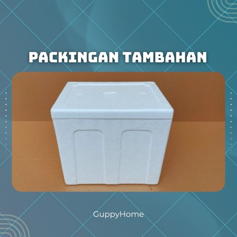 

Packingan tambahan Styrofoam
