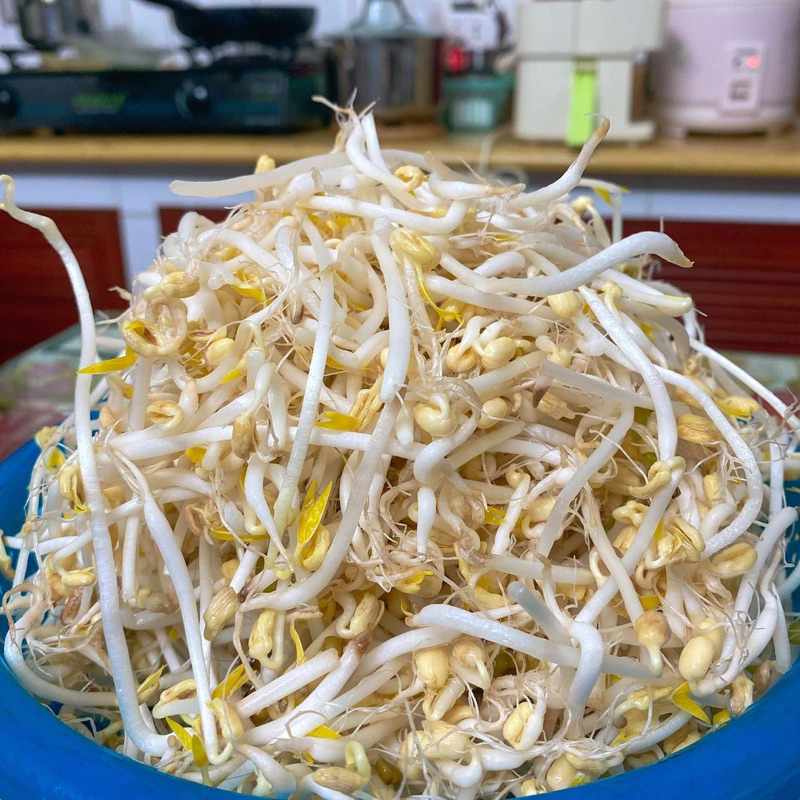 

Kecambah / Toge kacang hijau / cambah 1kg / 500gr