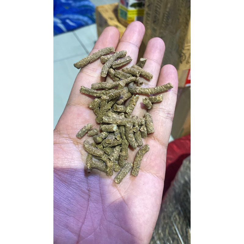 pelet channa maru treatment bunga&warana