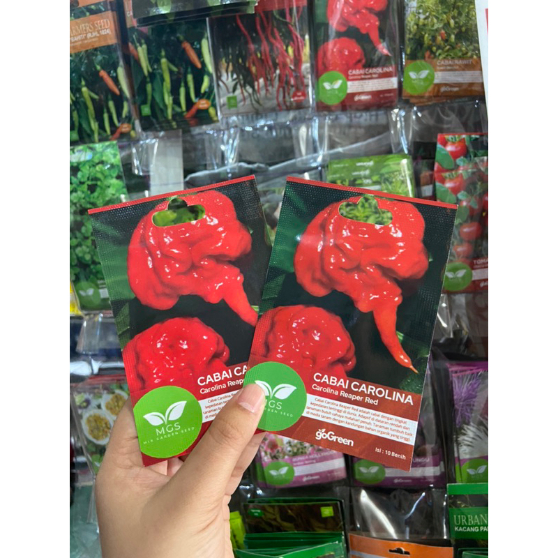 Benih Cabe Carolina Reaper/Benih cabe Carolina murah