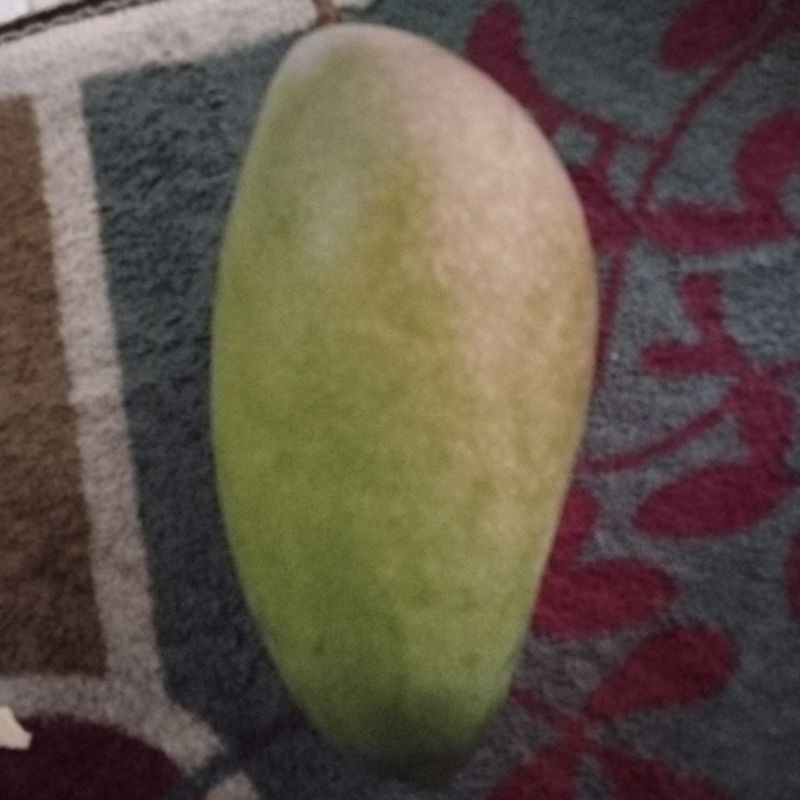 

MANGGA*KIOJAY*650gram