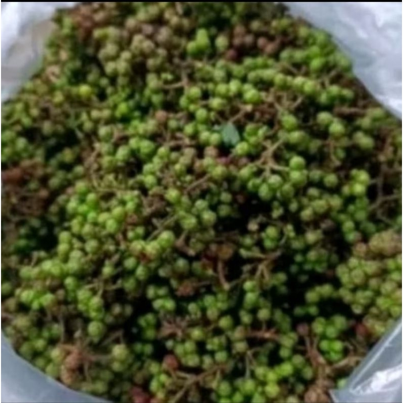 

Andaliman segar / andaliman fresh 250gr 500gr 1000gr