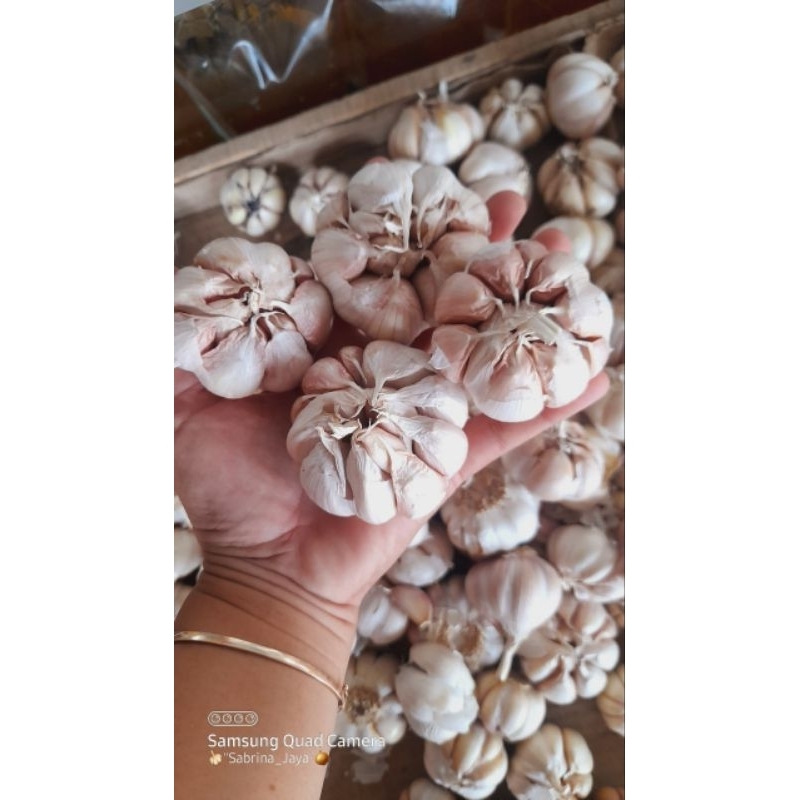 

Bawang Putih Garlic 1kg