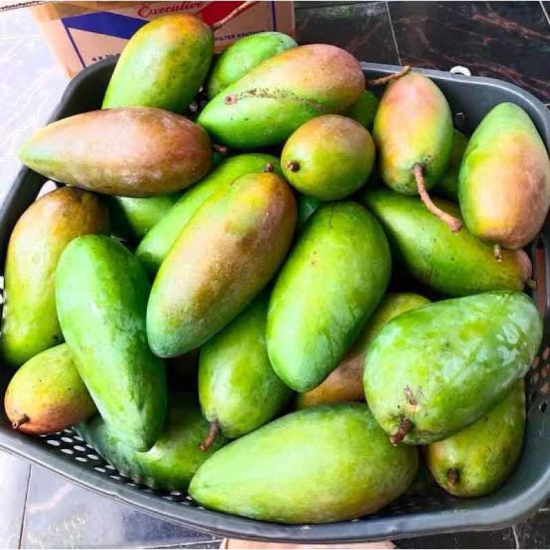 

mangga kionjay mengkal rujak 700\1000g(feebumbu)