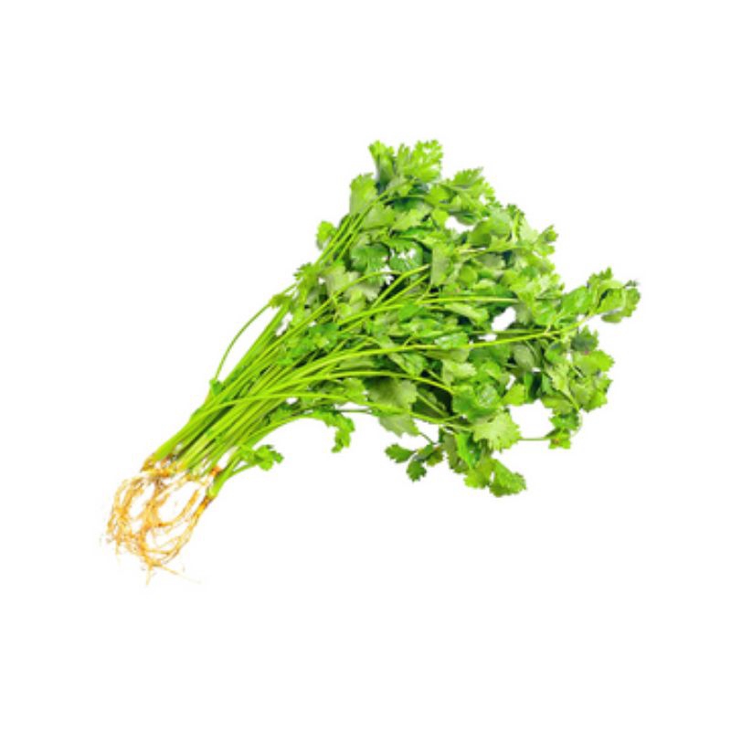 DAUN KETUMBAR / YANSUI BERAT 500 GRAM