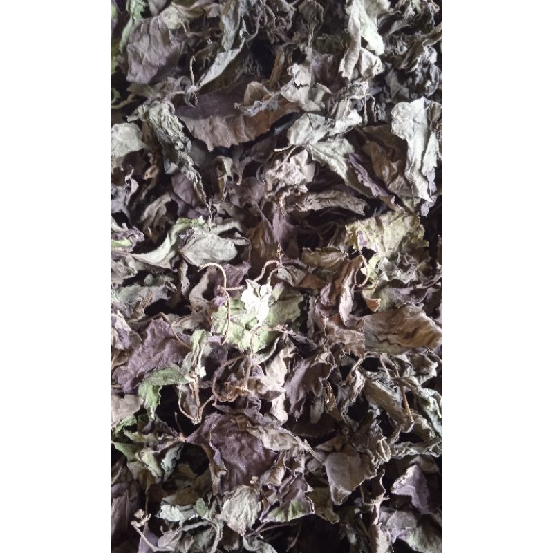

[ 500.GRAM full daun ] DAUN KRINYUH KERING / BALAKACIDA / KOPASANDA 100% Asli Original - Varian isi setengah kilo
