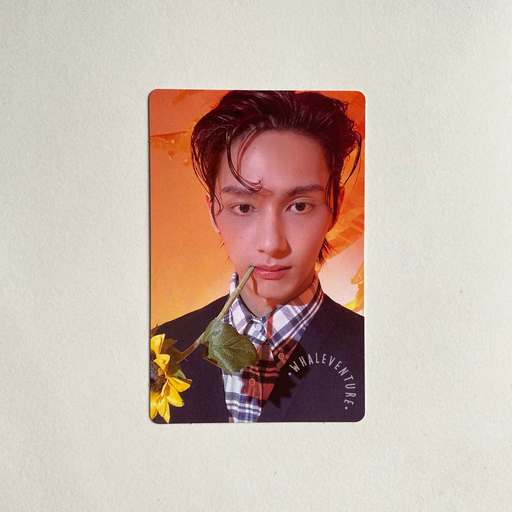 READY - 17 is right here RPC SEVENTEEN SVT | 17irh | scoups jeonghan joshua jun hoshi wonwoo woozi t