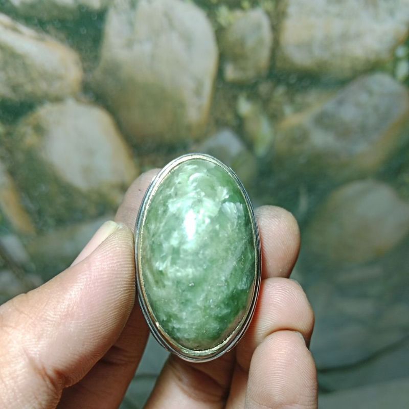 Batu Pandan suji kembang kol jumbo