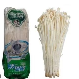 

jamur enoki 100 gram