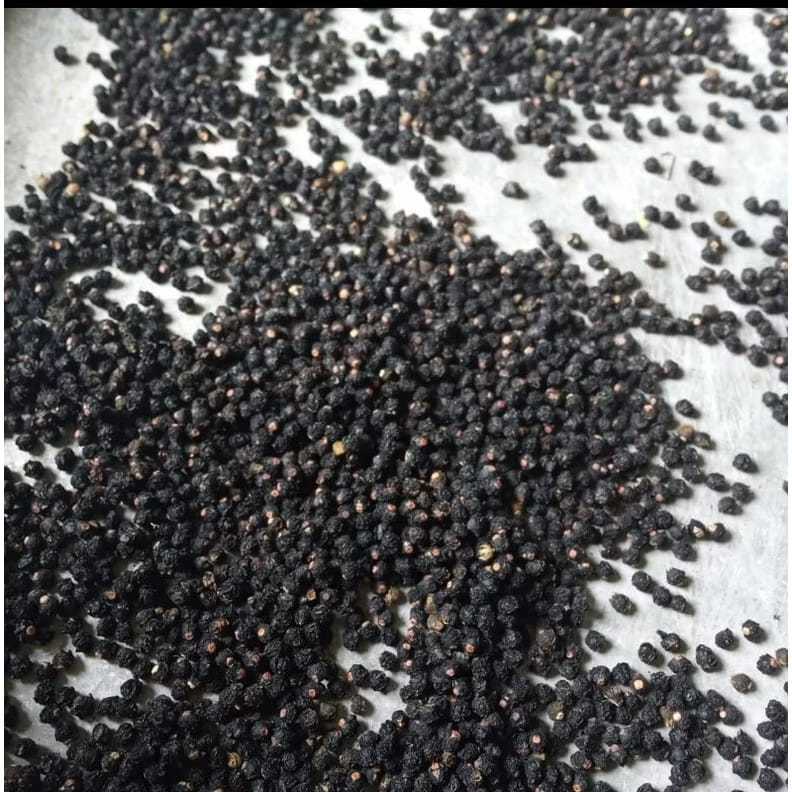 

Buah Angkung Kering Obat Stroke 200 biji (bonus 20 biji)