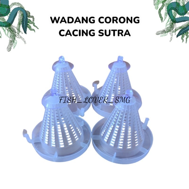 wadah corong cacing sutra/ cacing beku blood worm