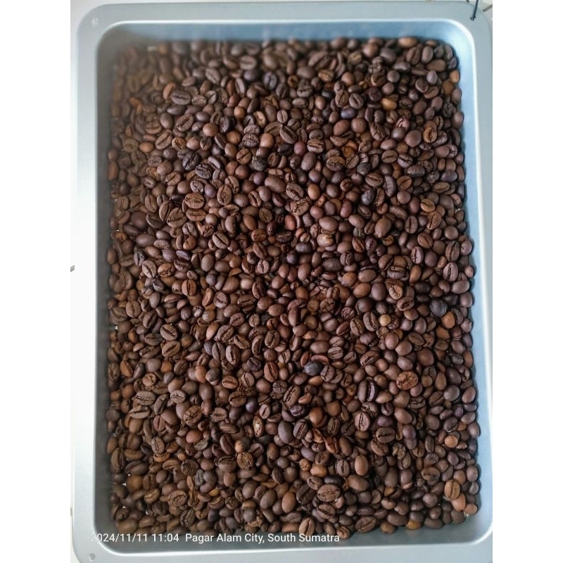 

Kopi Robusta Pagaralam 500gr | Biji kopi | Roasted Bean | kopi Pagaralam | biji kopi sangrai