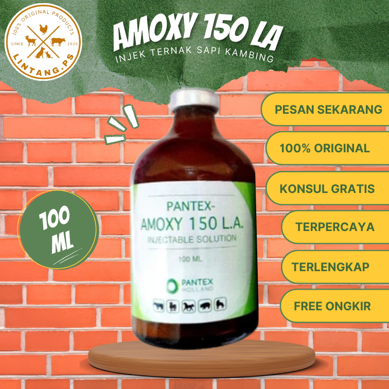 Amoxy 150 LA - Pantex - Amoxy Injeksi - Obat Hewan Ternak Grosir - Obat Injeksi Hewan - Amoxy LA
